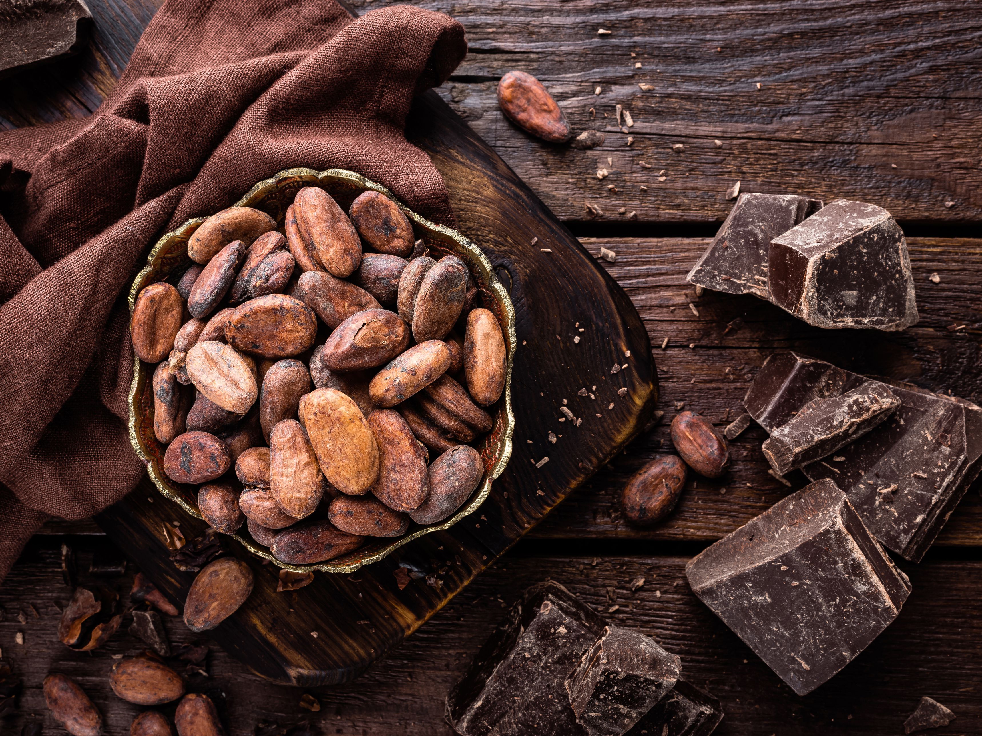 Cocoa Beans & Chocolate